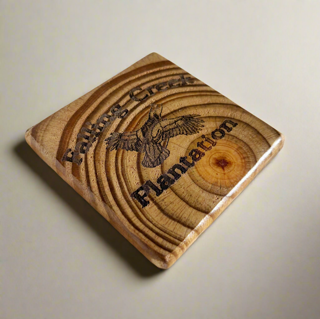 Coasters (set of 4)