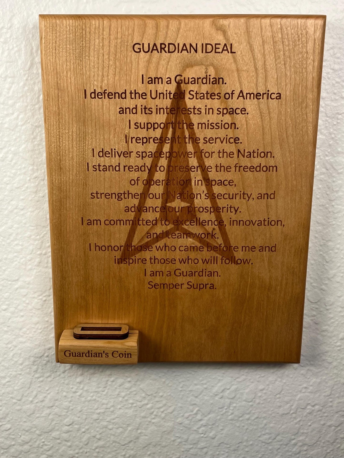 Personalized Space Force Graduation Plaque, Guardian Coin Holder, Solid Wood