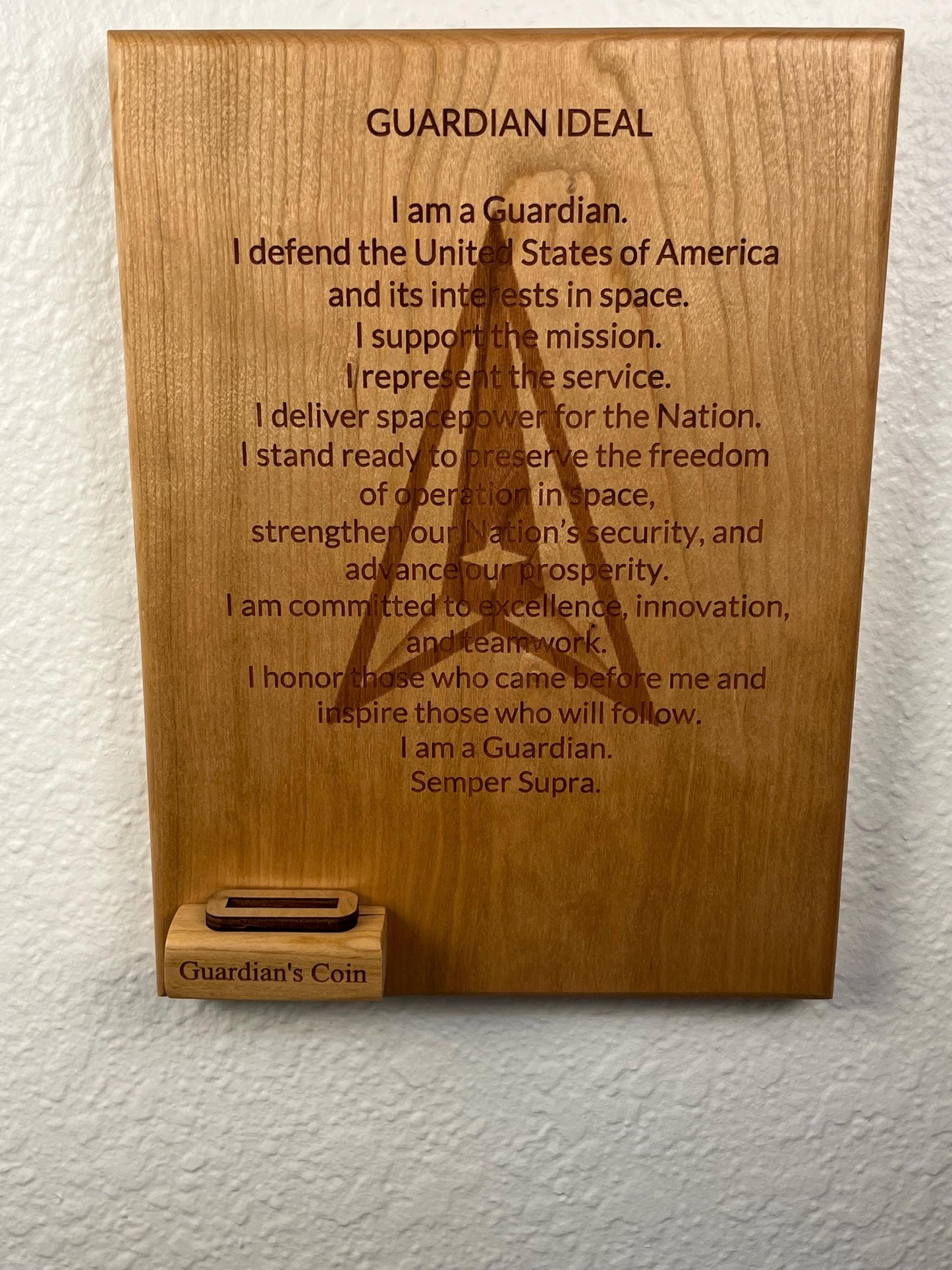 Personalized Space Force Graduation Plaque, Guardian Coin Holder, Solid Wood